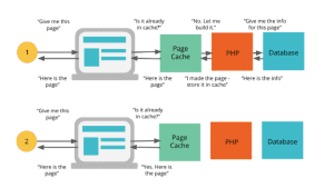 woocommerce for wordpress problems