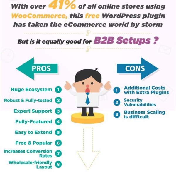 WooCommerce B2B: Guide To Setup Your Wholesale Store | WP Swings