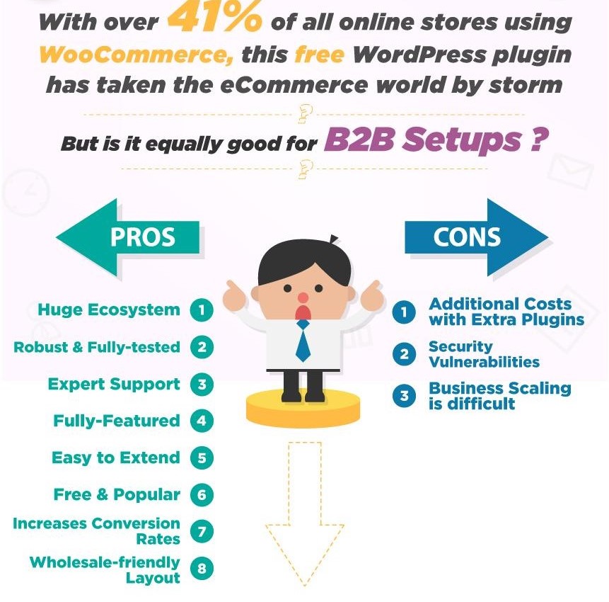 pros and cons of woocommerce b2b online store