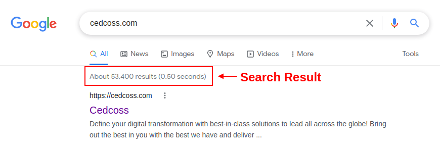 search result without www