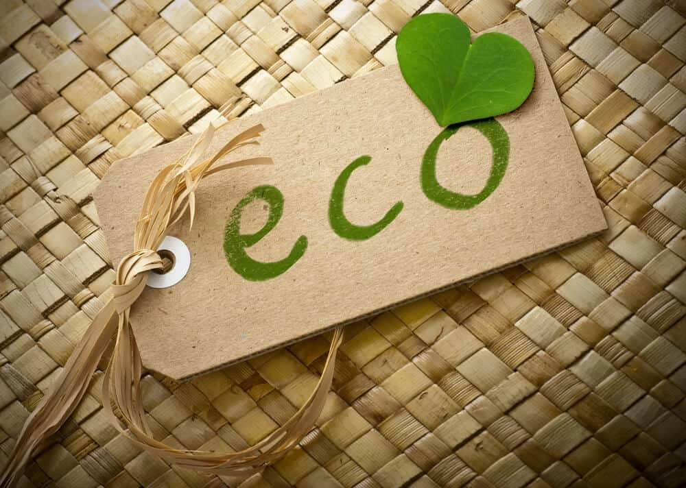 eco friendly