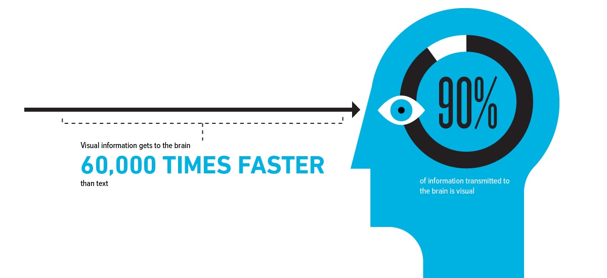 speed at which brain processes visual information 