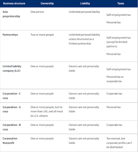 business plan structure types