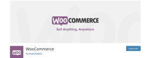 A Complete WooCommerce Developer Handbook | WP Swings