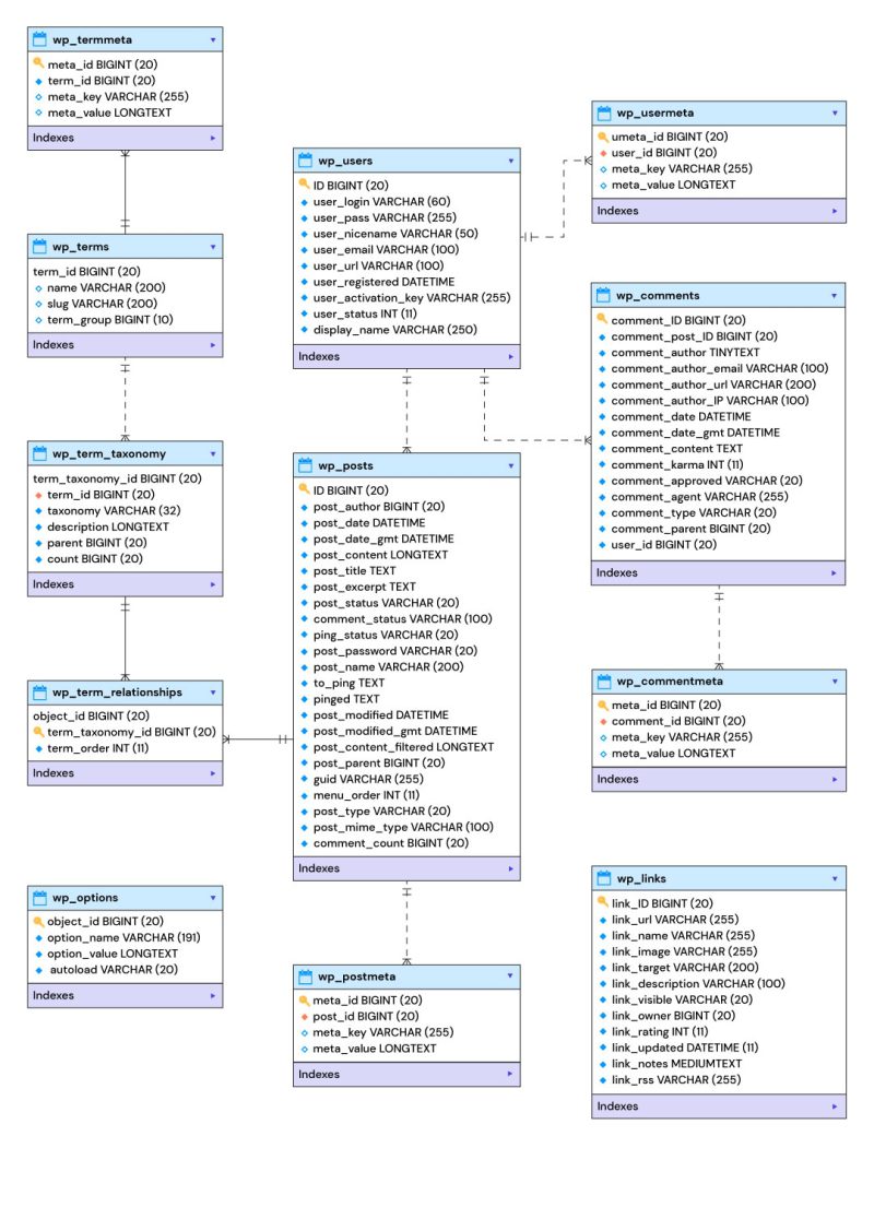 WordPress Database Optimization: Step-By-Step Guide | WP Swings