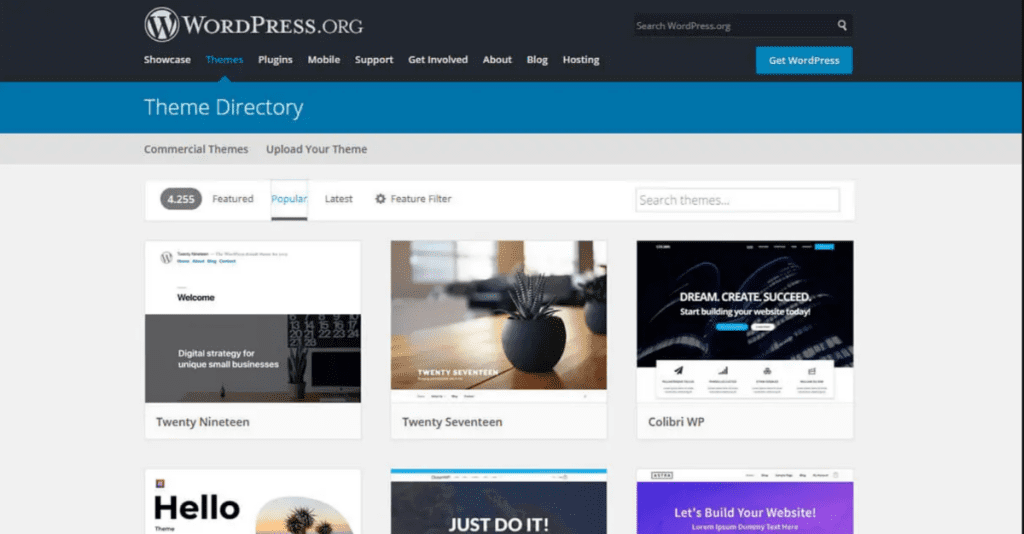 wordpress theme