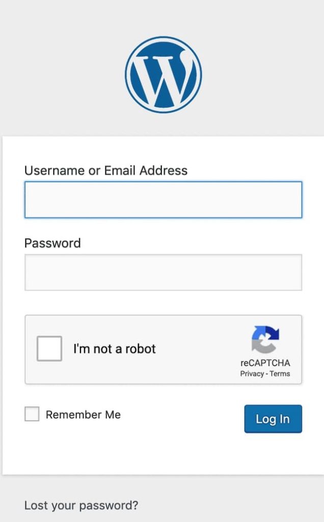 recaptcha example