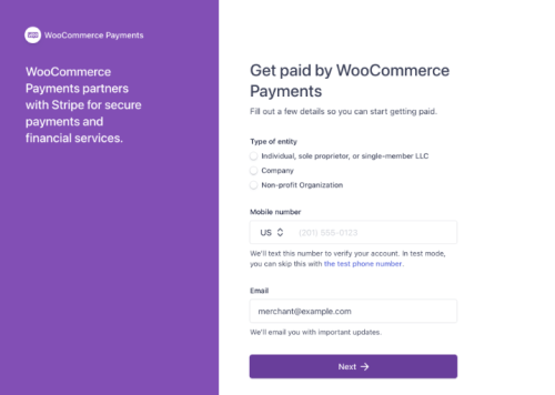 WooCommerce Payments: A Definitive Guide | WP Swings