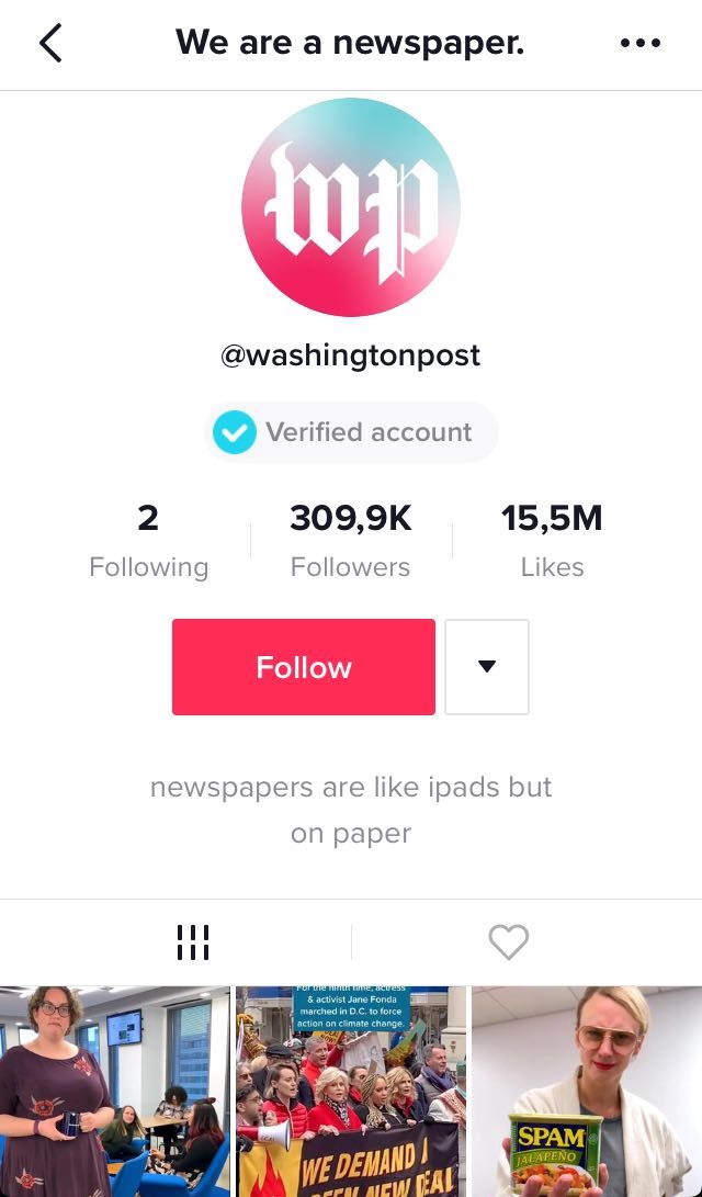 wp post tiktok ad