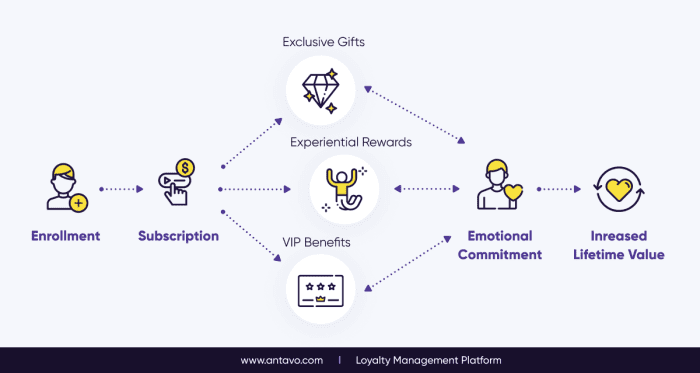 How To Build Successful Customer Loyalty Program? | WP Swings