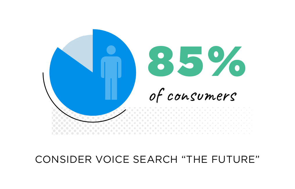 voice search importance in seo