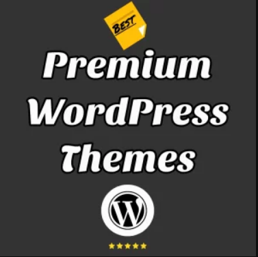 premium wordpress plugin