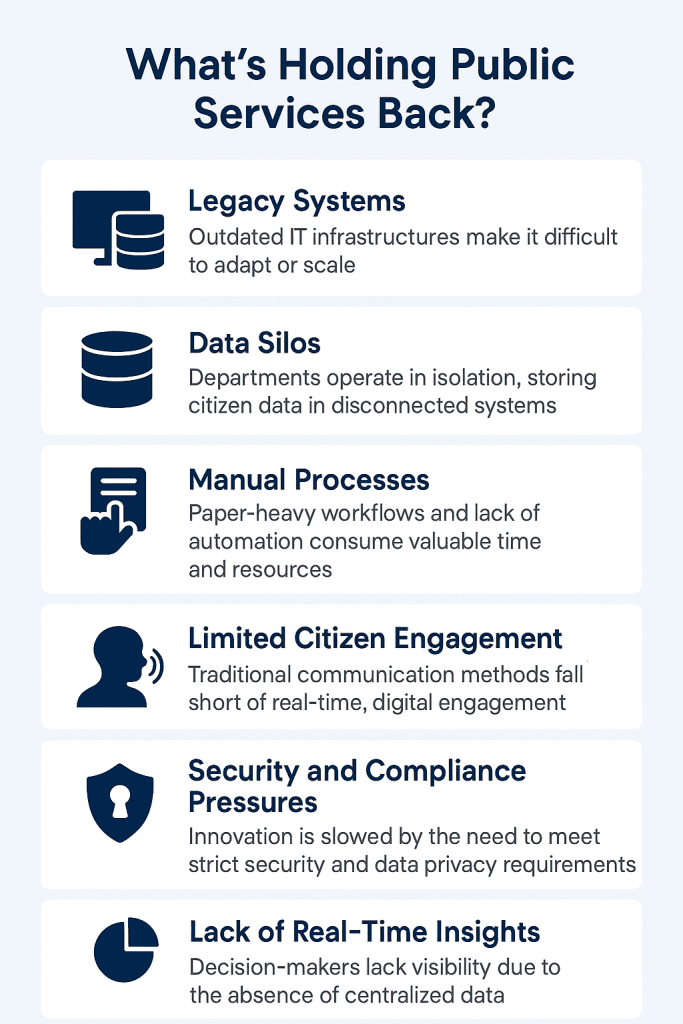 drawbacks of public sector systems