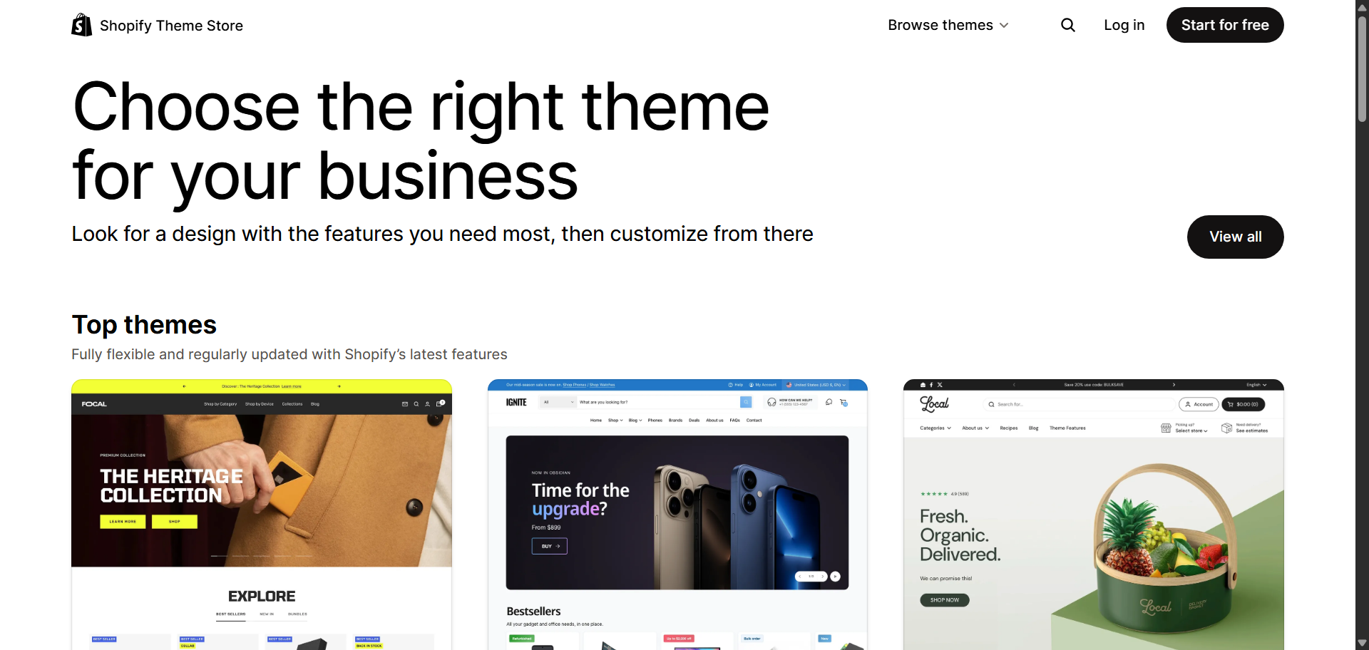 Shopify Themes